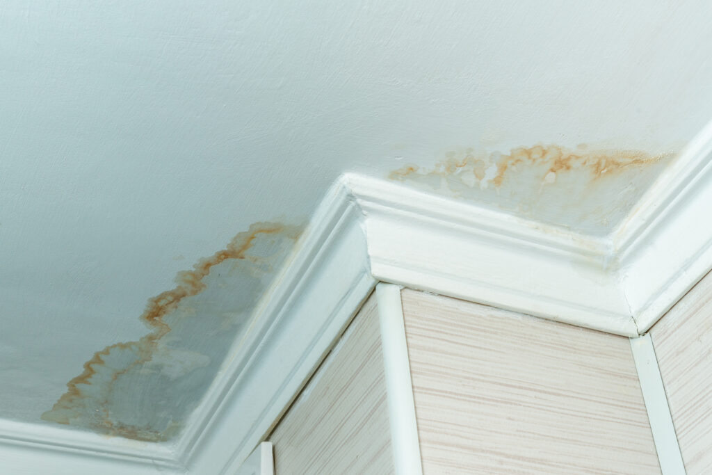A close-up image of a water-damaged ceiling