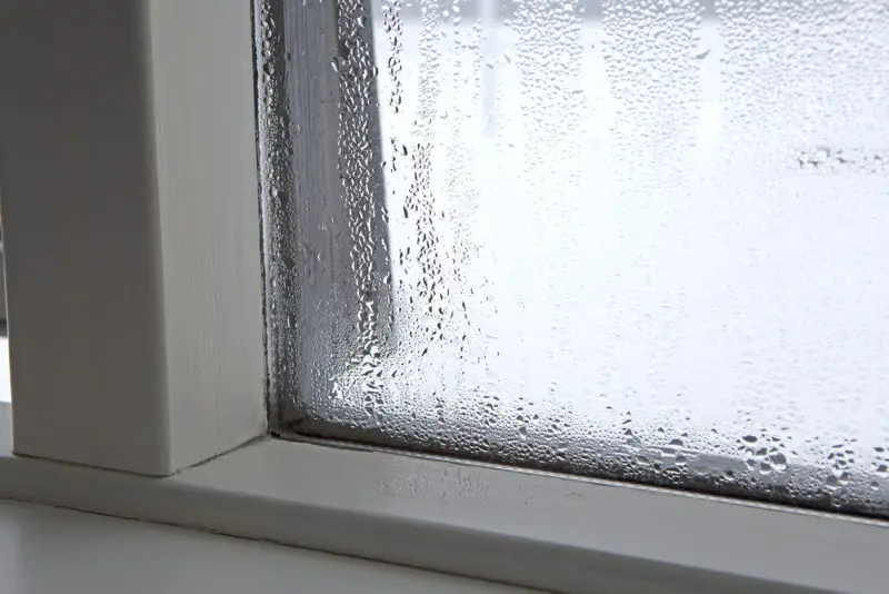 Fix Window Condensation With HVAC Services